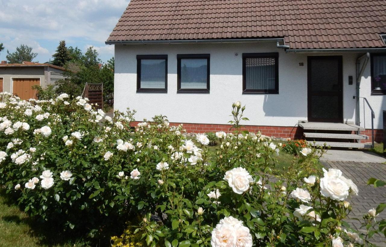 Fewo Am Sassenberg Blankenburg  Exterior foto